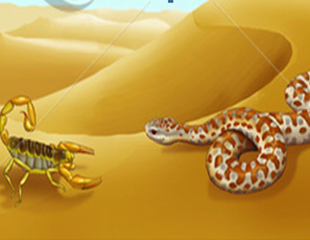 စစ္တပ္ကို အရင္ေျပာင္းပါ – အီဂ်စ္သင္ခန္းစာ
