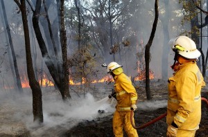 ZZZZZZZZZZZZZZZZ_fires-20Oct-2019-20131019172716310647-620x414