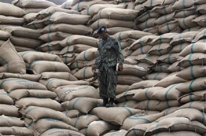 File photo of a defense volunteer standing on sacks of rice at a warehouse in Ayutthaya province