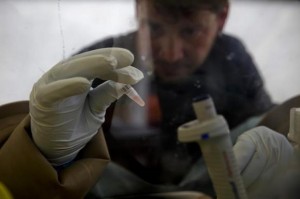 A scientist separates blood cells from plasma cells to isolate any Ebola RNA in order to test for the virus at the European Mobile Laboratory in Gueckedou