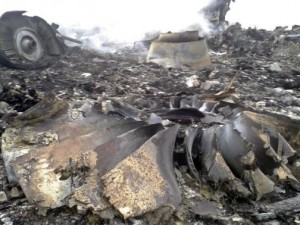 Site of a Malaysia Airlines Boeing 777 plane crash is seen at the settlement of Grabovo in the Donetsk region