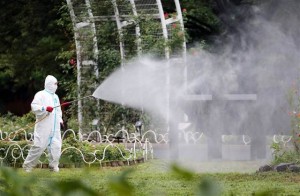 140902-japan-dengue-fever-630a_bfaccd2768667a36f7d9dc047ffc24c0.nbcnews-ux-640-440
