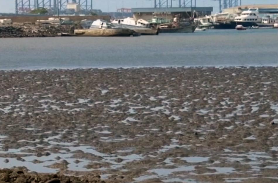 Djibouti's environment still suffering 20 years after oil leakage