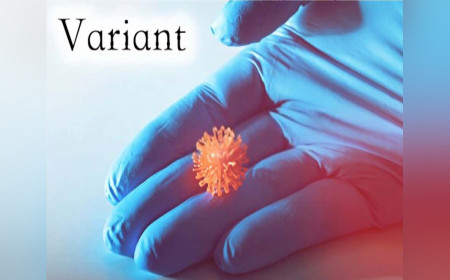 ကိုဗစ် မျိုးစိတ်သစ် Omicron