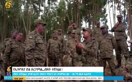 တီဂရေးသူပုန်များထံမှ ပိုင်နက်များ ပြန်သိမ်းမည်ဟု အီသီယိုပီးယားအစိုးရ ကြေညာ