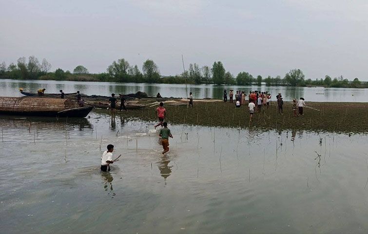 မင်းပြားမြို့နယ်၌ ဒီရေတော ပျက်စီးနေသည့် ကမ်းစပ်တွင် ဗျူးခြေထောက်ပင်များ စိုက်ပျိုး