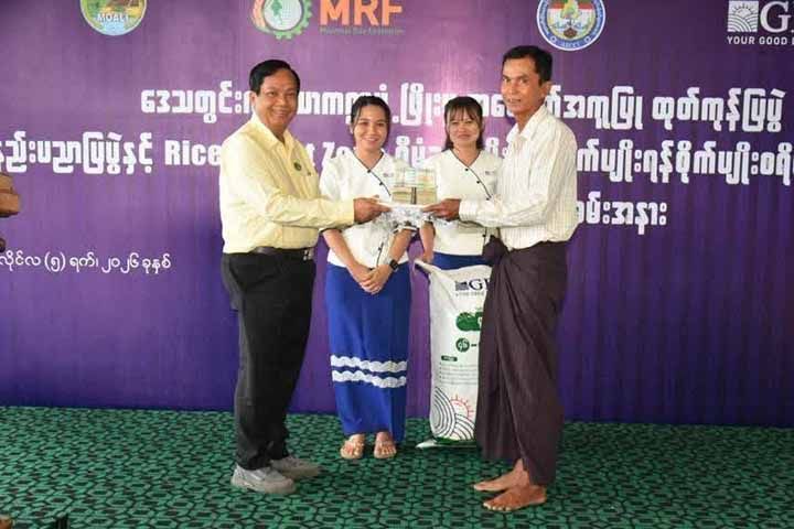 REZ စီမံချက်အောက်ရှိ ဆန်ပို့ကုမ္ပဏီများက မိုးစပါးစိုက်ပျိုးစရိတ်ချေးငွေ စတင်ထုတ်ပေး
