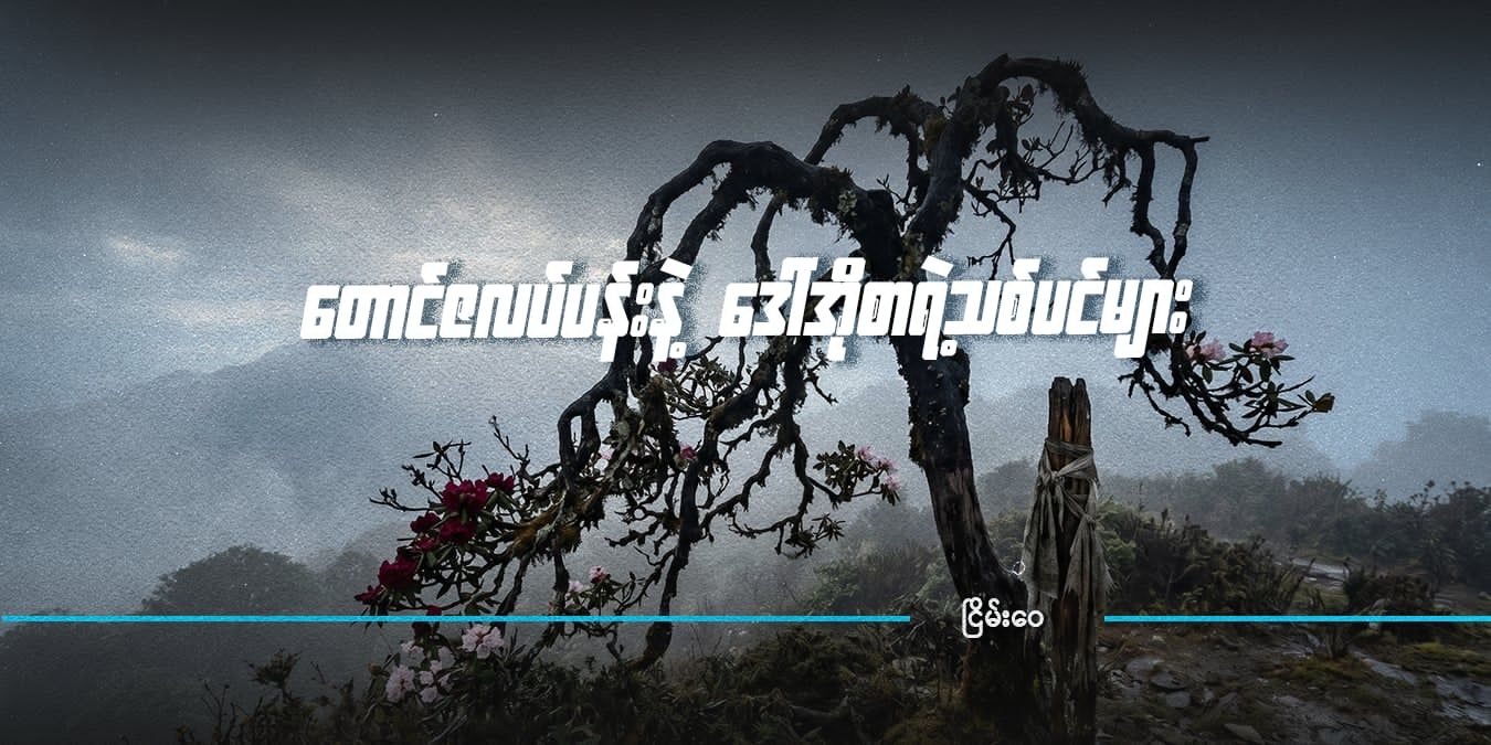 Design: DVB