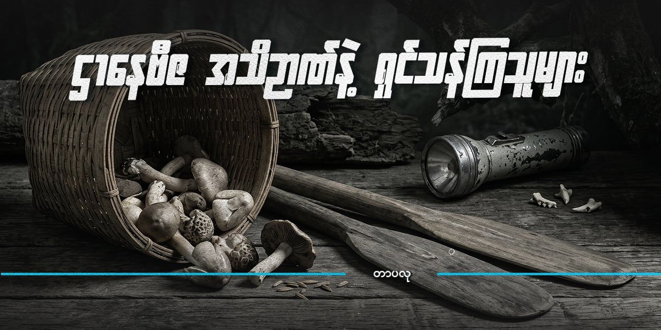 ဌာနေဗီဇ အသိဉာဏ်နဲ့ ရှင်သန်ကြသူများ  