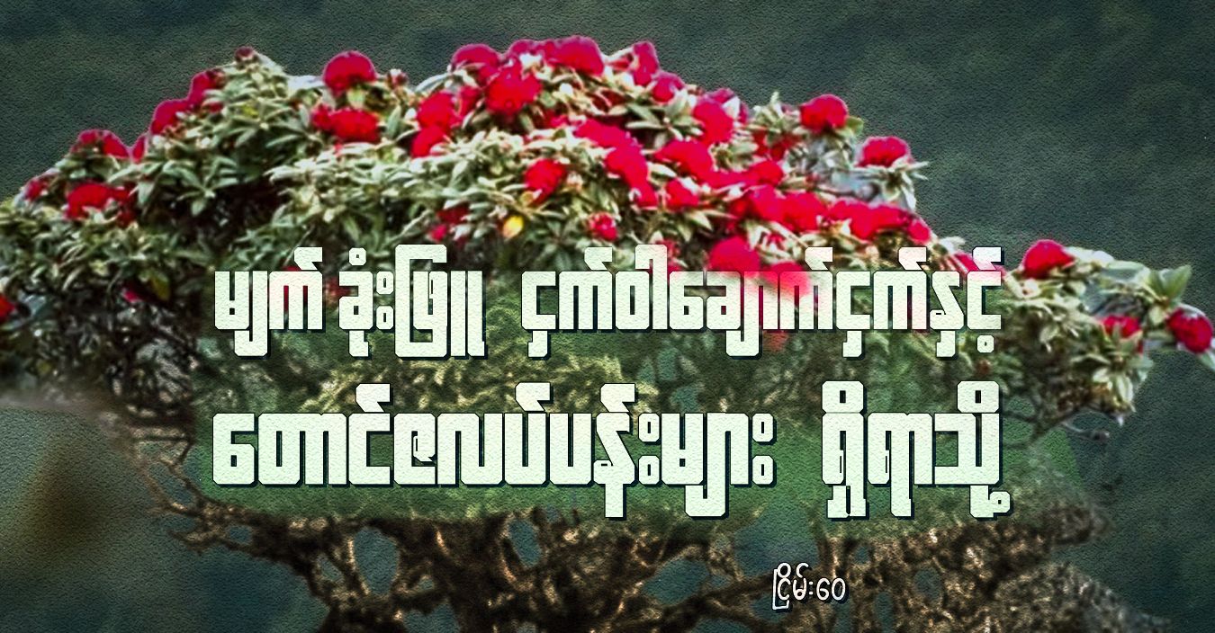 Photo: NW