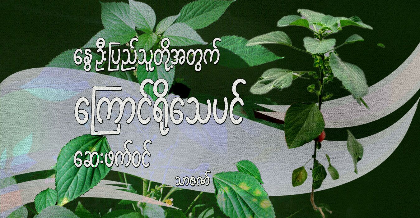နွေဦးပြည်သူတို့အတွက် ကြောင်ရိုသေပင် ဆေးဖက်ဝင်