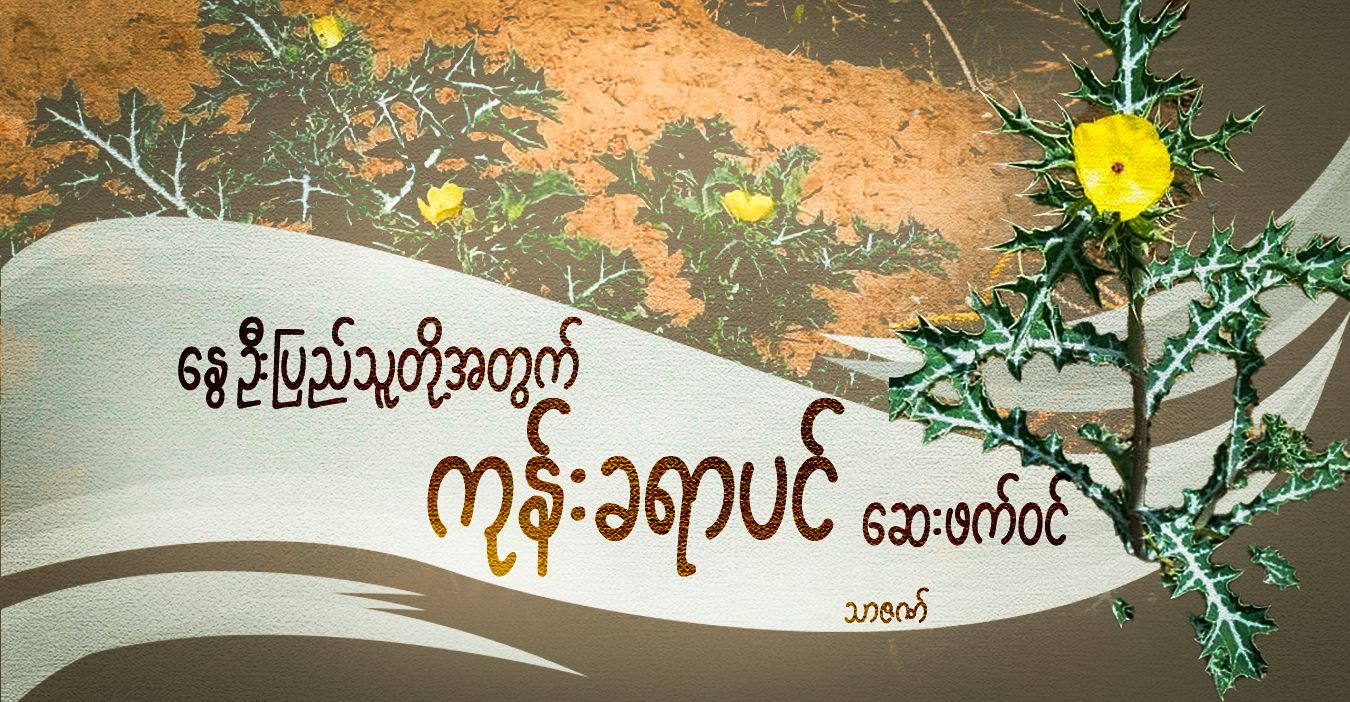 နွေဦးပြည်သူတို့အတွက် ကုန်းခရာပင် ဆေးဖက်ဝင်