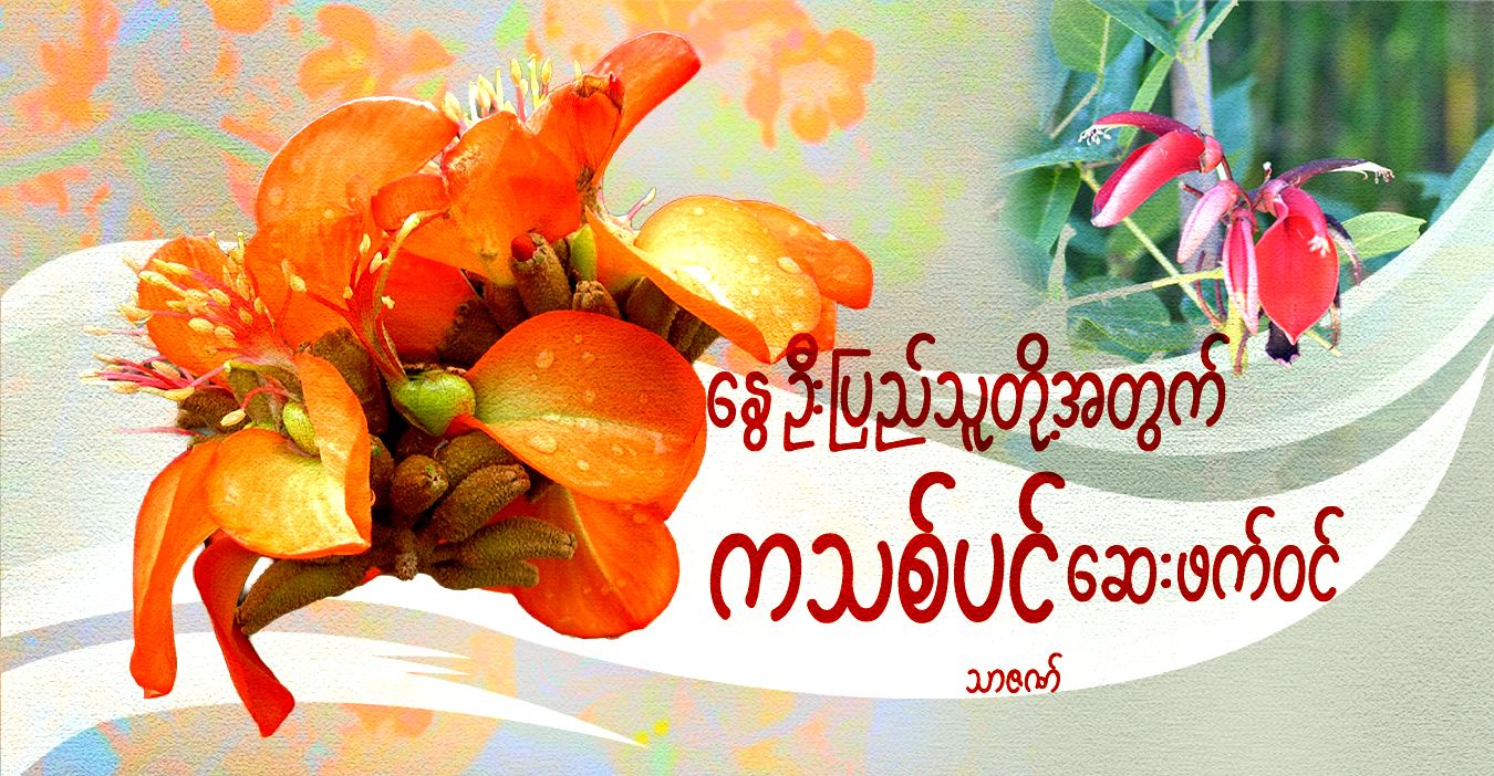 နွေဦးပြည်သူတို့အတွက် ကသစ်ပင် ဆေးဖက်ဝင်