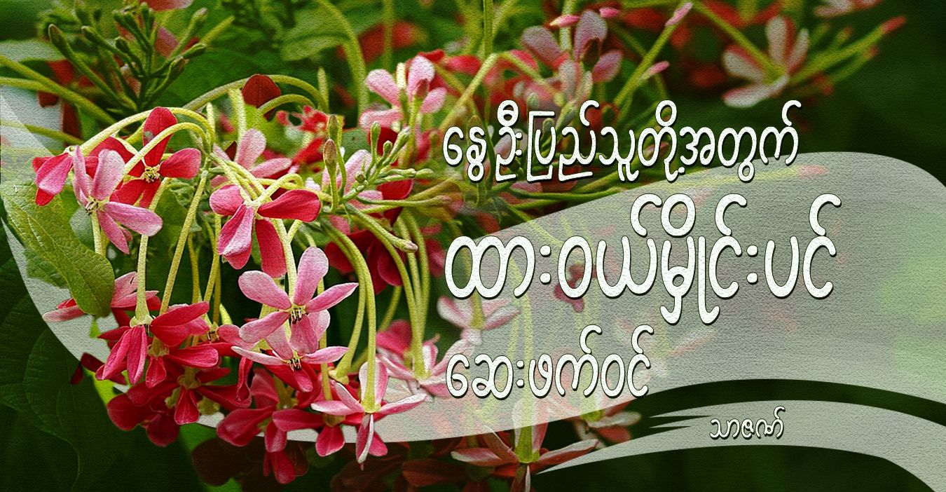 နွေဦးပြည်သူတို့အတွက် ထားဝယ်မှိုင်းပင် ဆေးဖက်ဝင်