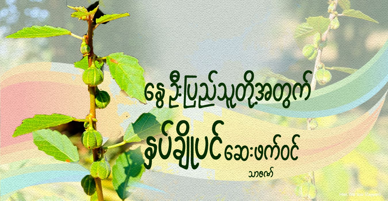 နွေဦးပြည်သူတို့အတွက် နှပ်ချိုပင် ဆေးဖက်ဝင်