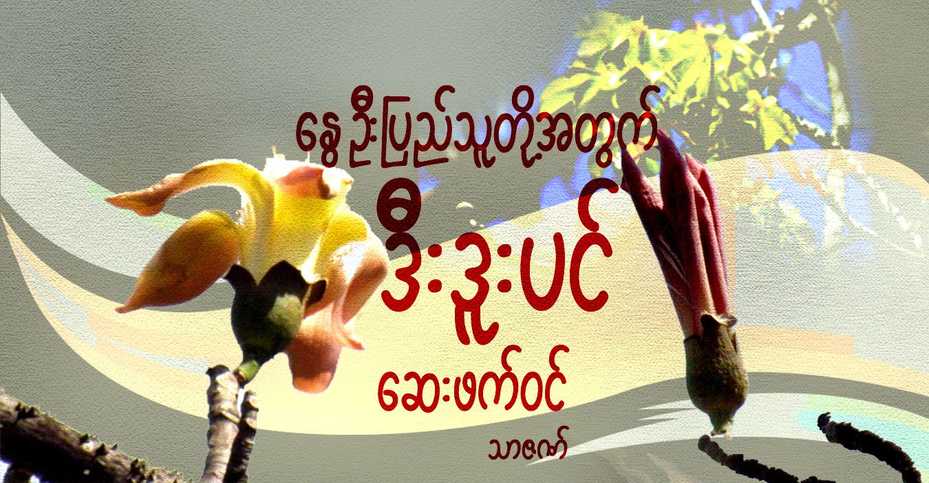 နွေဦးပြည်သူတို့အတွက် ဒီးဒူးပင် ဆေးဖက်ဝင်
