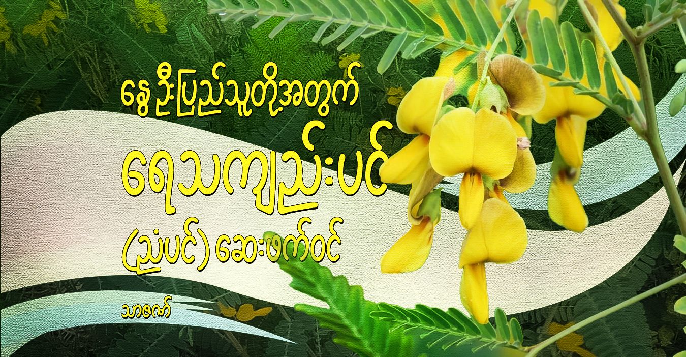 နွေဦးပြည်သူတို့အတွက် ရေသကျည်းပင် (ညံပင်) ဆေးဖက်ဝင်