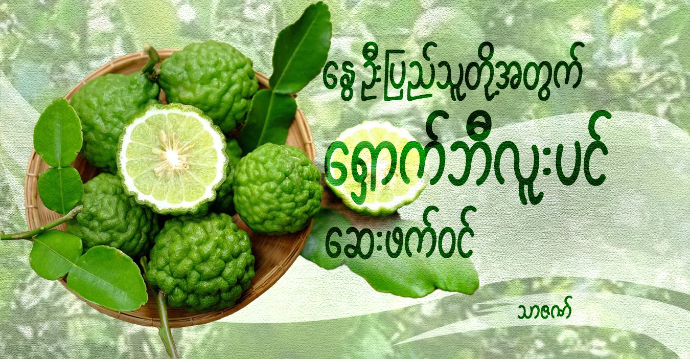 နွေဦးပြည်သူတို့အတွက် ရှောက်ဘီလူးပင် ဆေးဖက်ဝင်