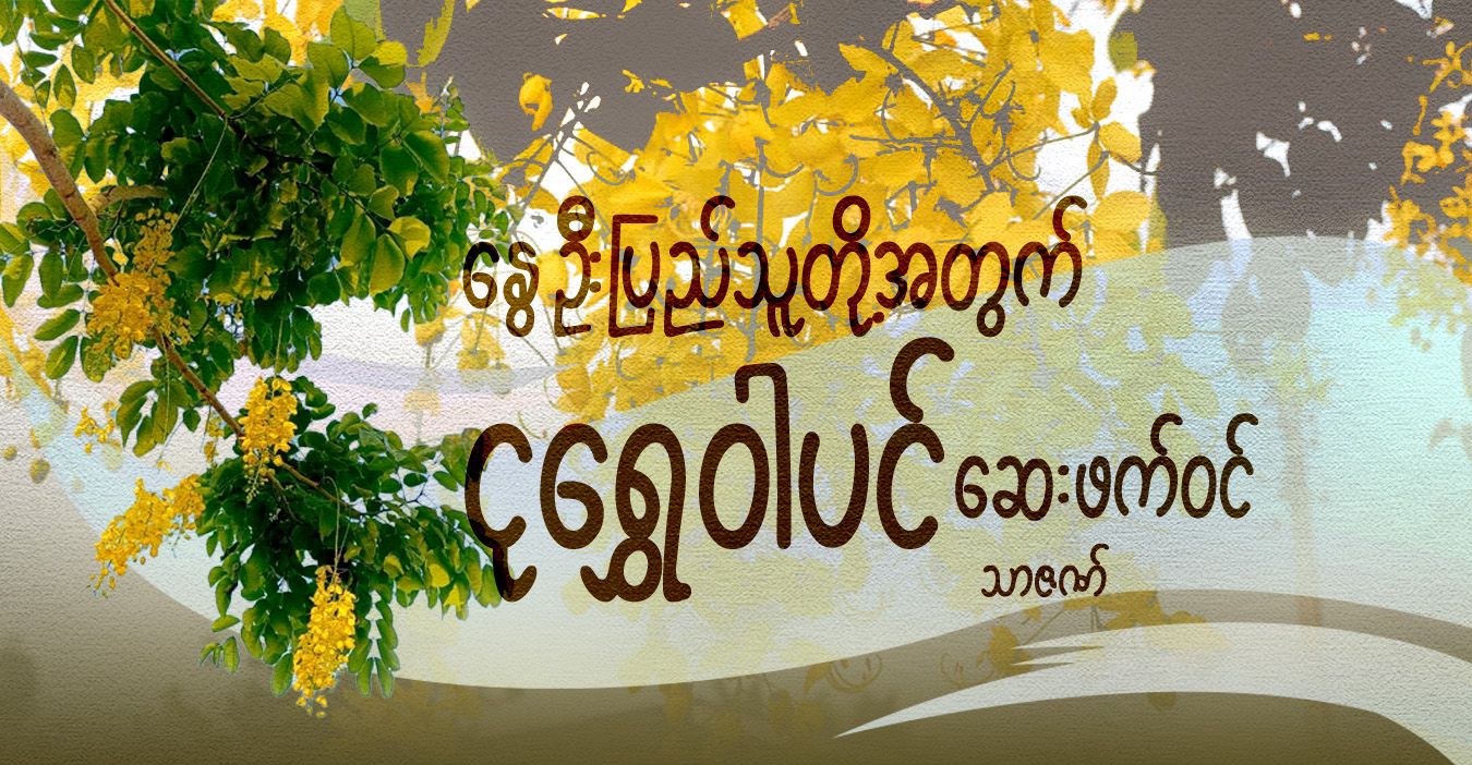 နွေဦးပြည်သူတို့အတွက် ငုရွှေဝါပင် ဆေးဖက်ဝင်