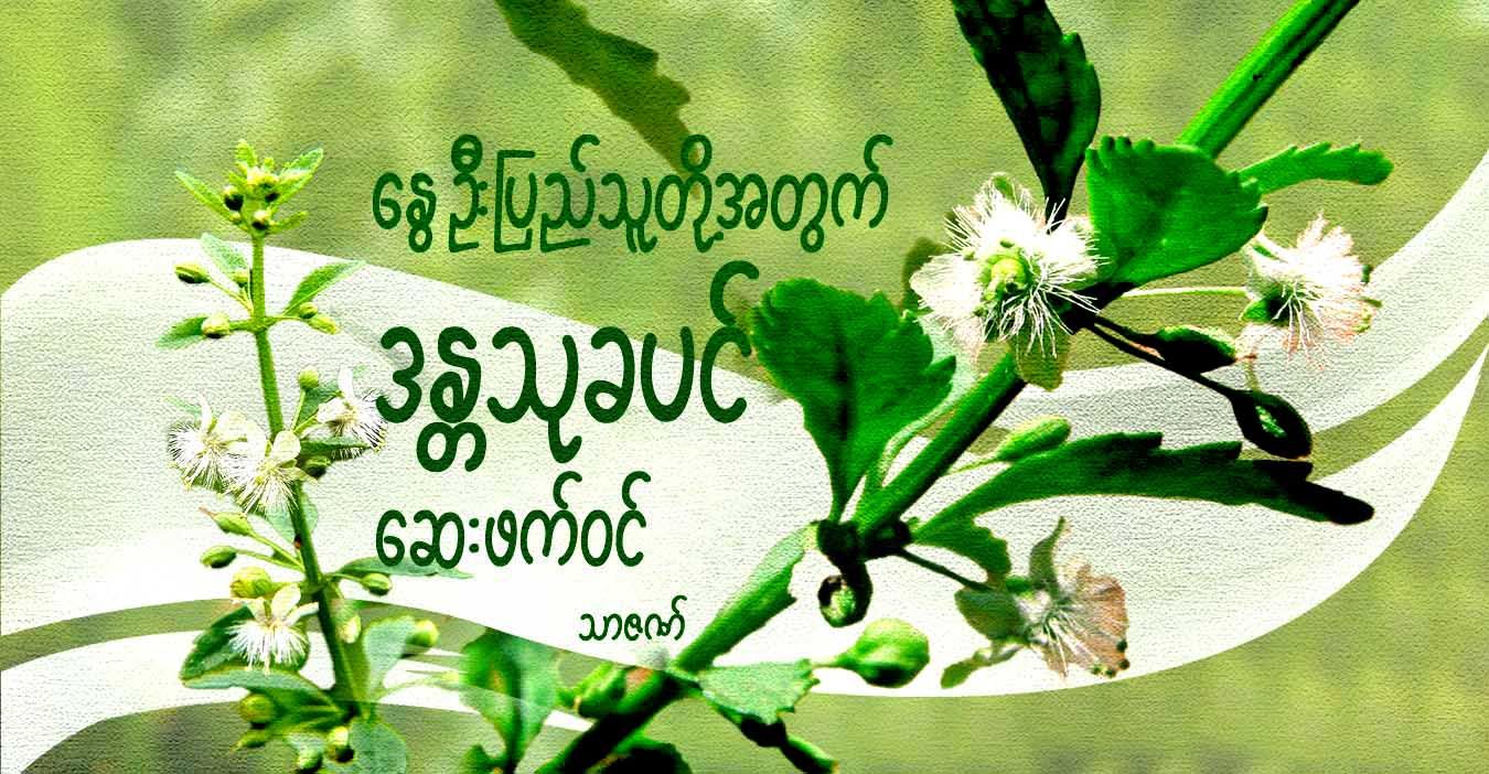နွေဦးပြည်သူတို့အတွက် ဒန္တသုခပင် ဆေးဖက်ဝင်