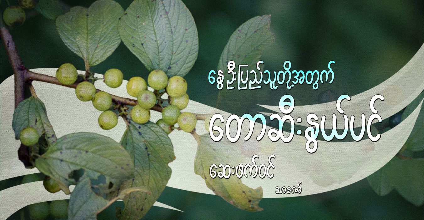 နွေဦးပြည်သူတို့အတွက် တောဆီးနွယ်ပင် ဆေးဖက်ဝင်