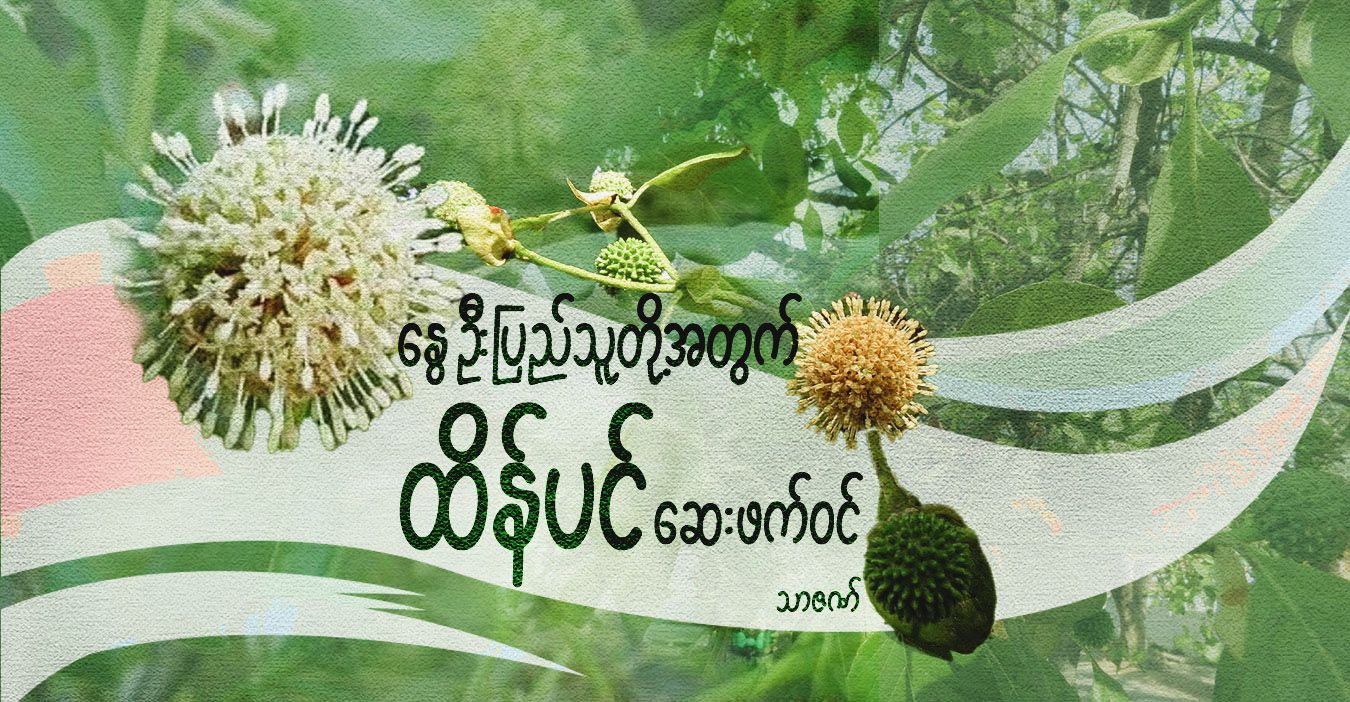 နွေဦးပြည်သူတို့အတွက် ထိန်ပင် ဆေးဖက်ဝင်