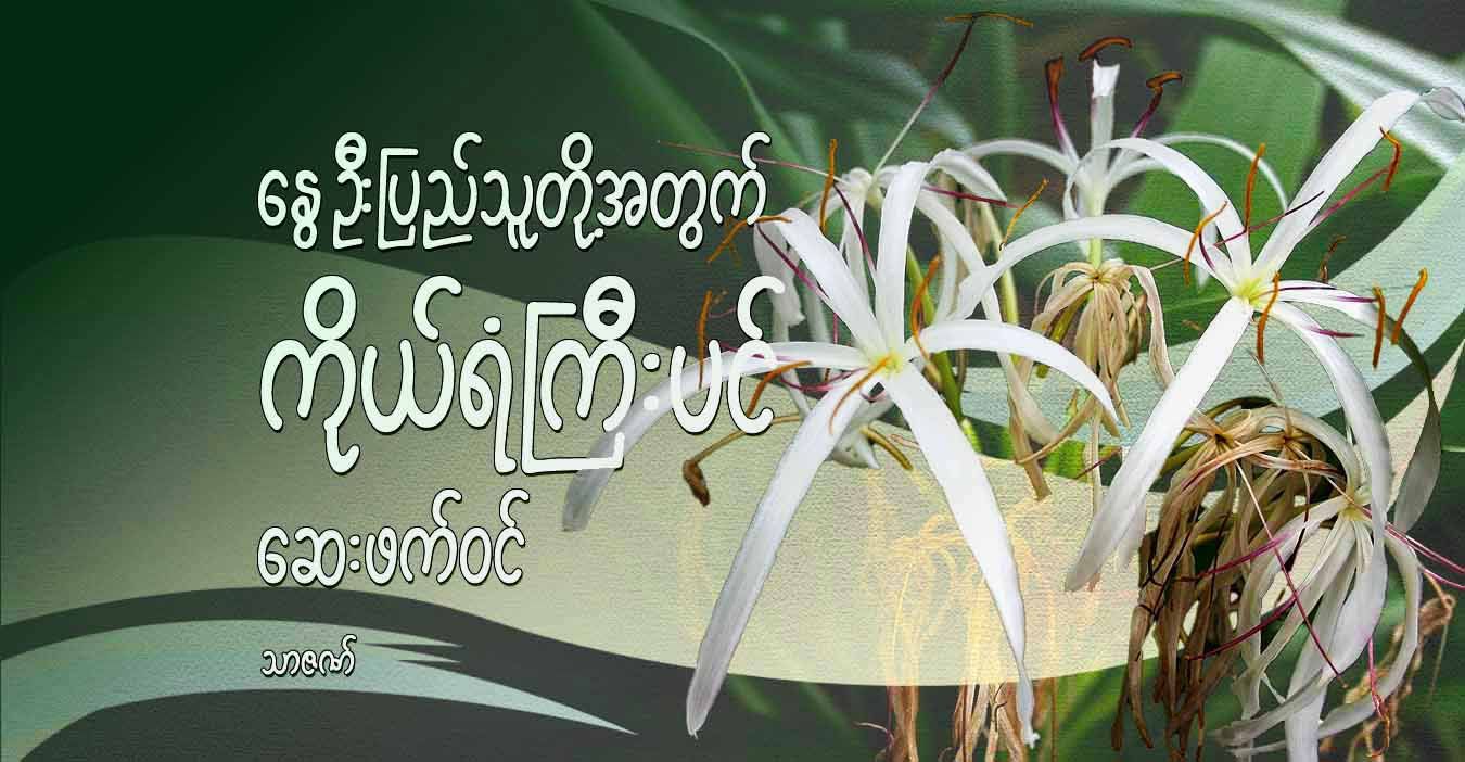 နွေဦးပြည်သူတို့အတွက် ကိုယ်ရံကြီးပင် ဆေးဖက်ဝင်