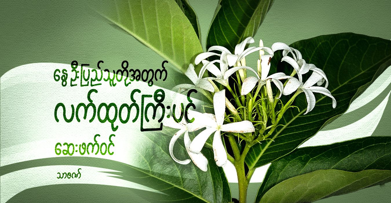 နွေဦးပြည်သူတို့အတွက် လက်ထုတ်ကြီးပင် ဆေးဖက်ဝင်