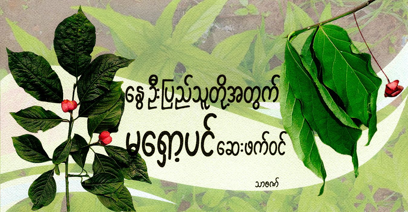 နွေဦးပြည်သူတို့အတွက် မရှော့ပင် ဆေးဖက်ဝင်