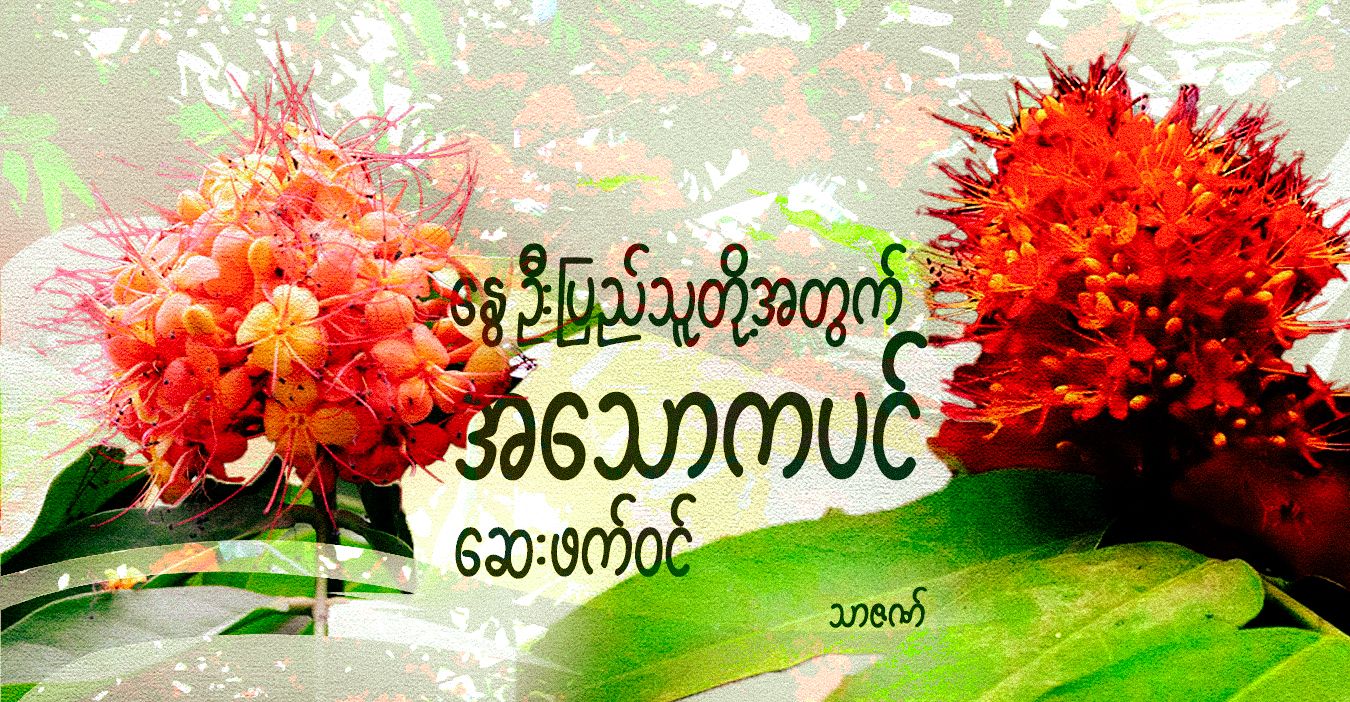 နွေဦးပြည်သူတို့အတွက် အသောကပင် ဆေးဖက်ဝင်