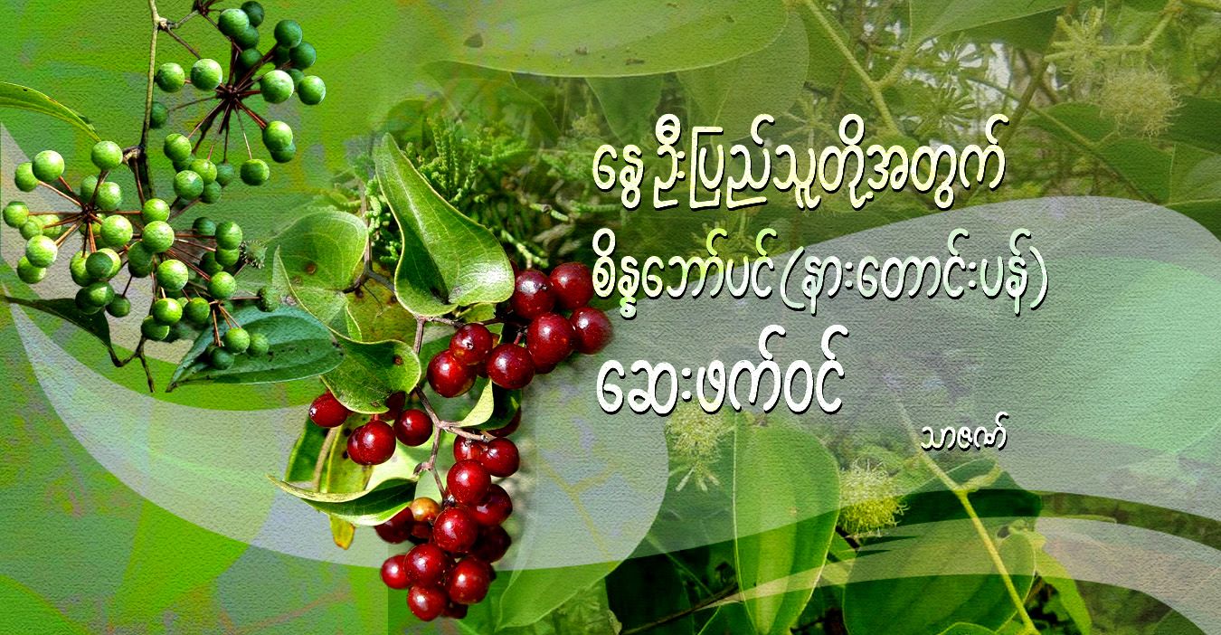 နွေဦးပြည်သူတို့အတွက် စိန္နဘော်ပင်(နားတောင်းပန်) ဆေးဖက်ဝင်