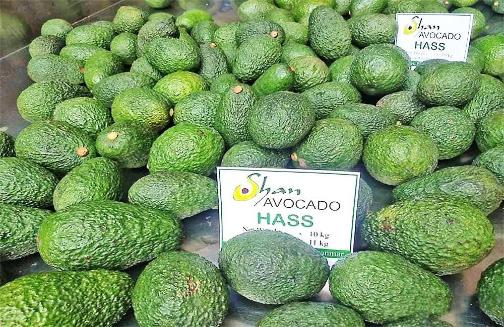 Photo : Myan Trade