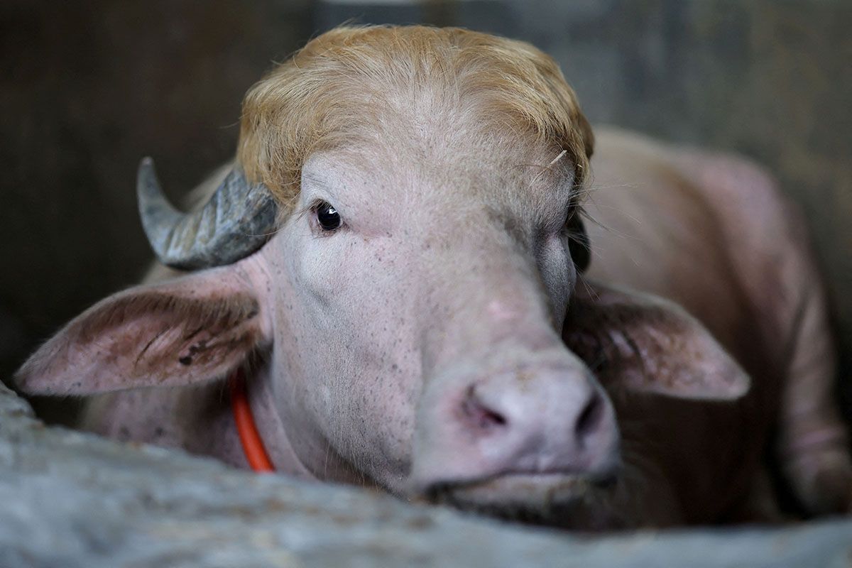 Photo: Reuters