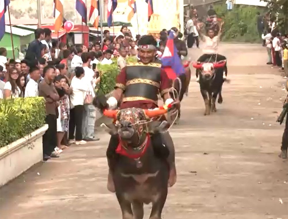 ကမ္ဘောဒီးယား ဘိုးဘွားပူဇော်ပွဲတွင် ကျွဲနှင့် မြင်းပြိုင်ပွဲ ကျင်းပ