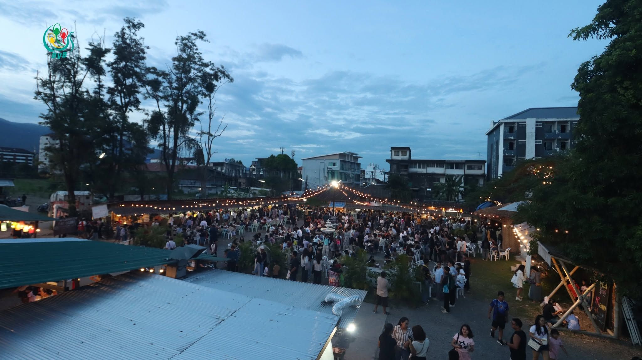 Thumbnail 11