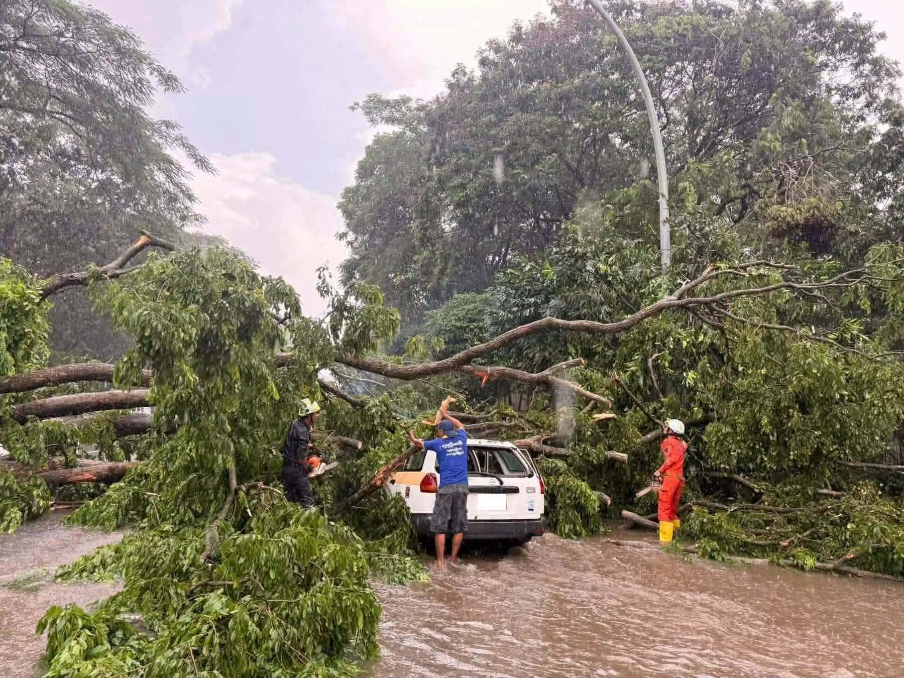 ရန်ကုန် မြို့နယ် ၄ ခု၌ မိုးသည်းထန်ပြီး သစ်ပင်ကြီးများ လဲကျမှုကြောင့် လမ်းပိတ်ဆို့