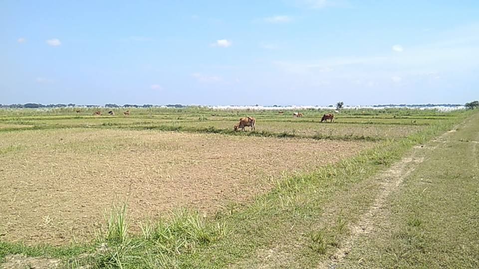 လယ်ယာမြေပေါ်  အကွက်ရိုက်ထားသူများနှင့် နှစ်ရှည် နေထိုင်သူများကို ဖယ်ရှားခိုင်း 
