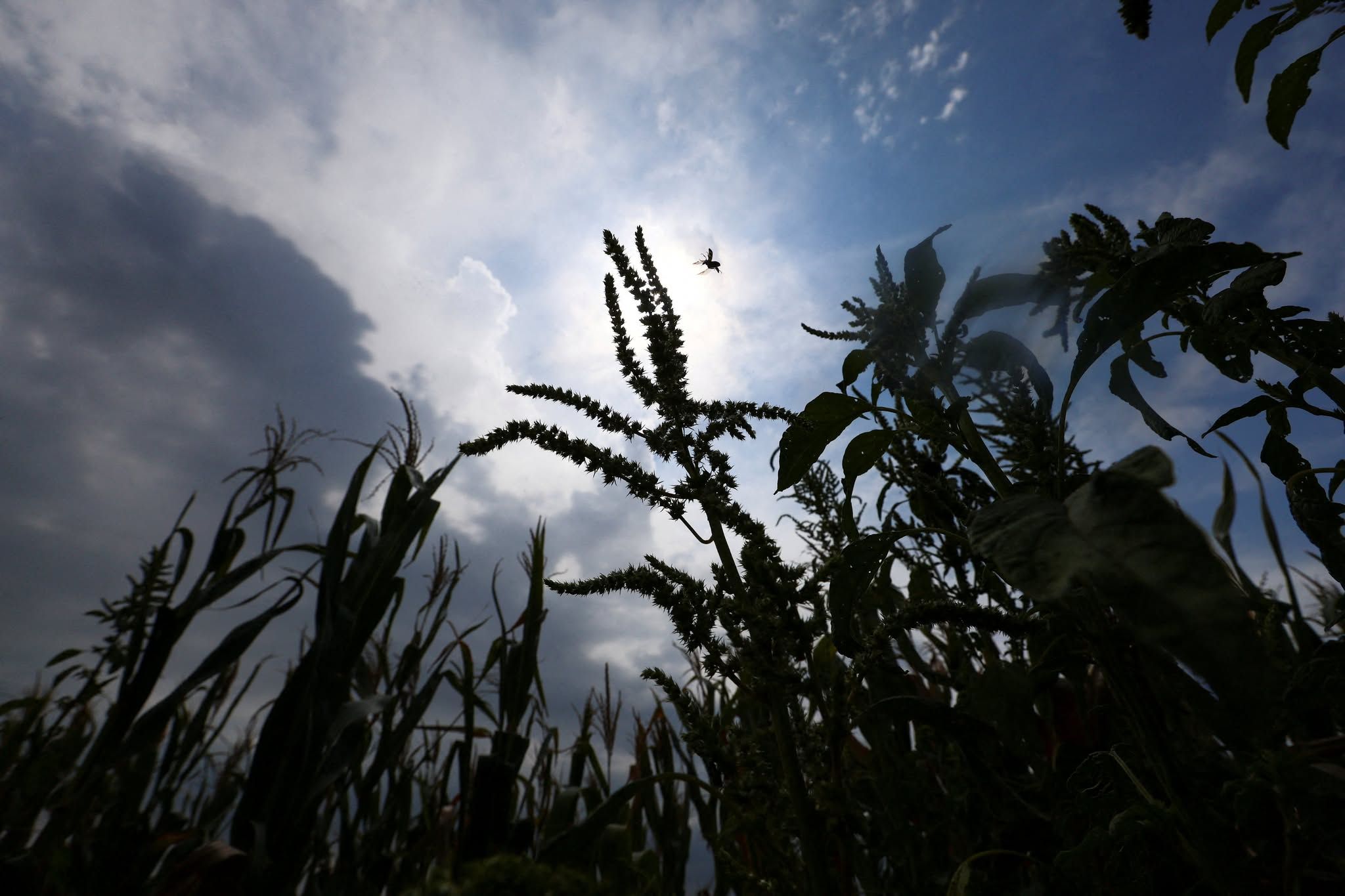 Photo: Reuters
