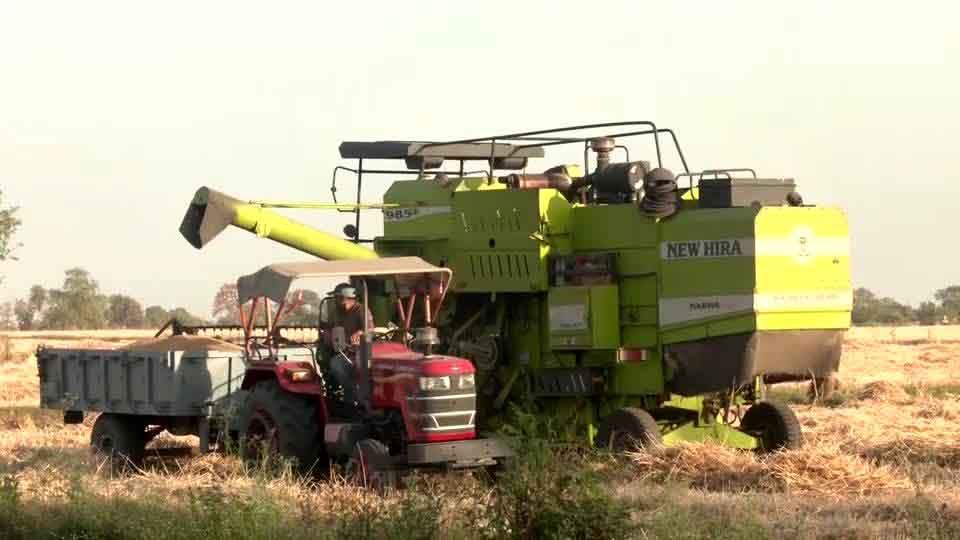အီရန်စစ်ပွဲကြောင့် ဓာတ်မြေဩဇာပြတ်လပ်မှာကို အိန္ဒိယလယ်သမားများ စိုးရိမ် 