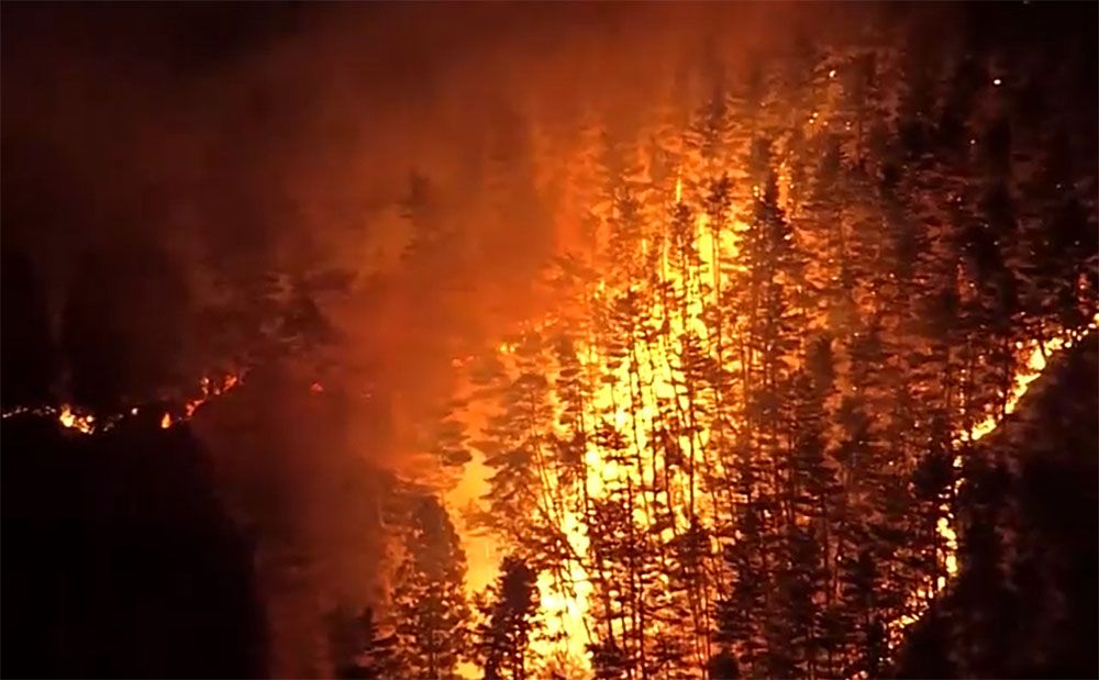 Photo: NIPPON TV / JAPAN