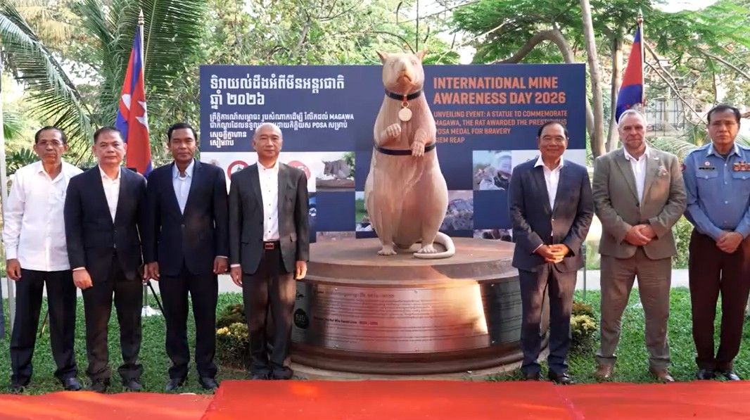 ကမ္ဘောဒီးယားတွင် မိုင်းရှင်းလင်းပေးခဲ့သည့် ကြွက်ကို ဂုဏ်ပြု ရုပ်တုဖွင့်လှစ်