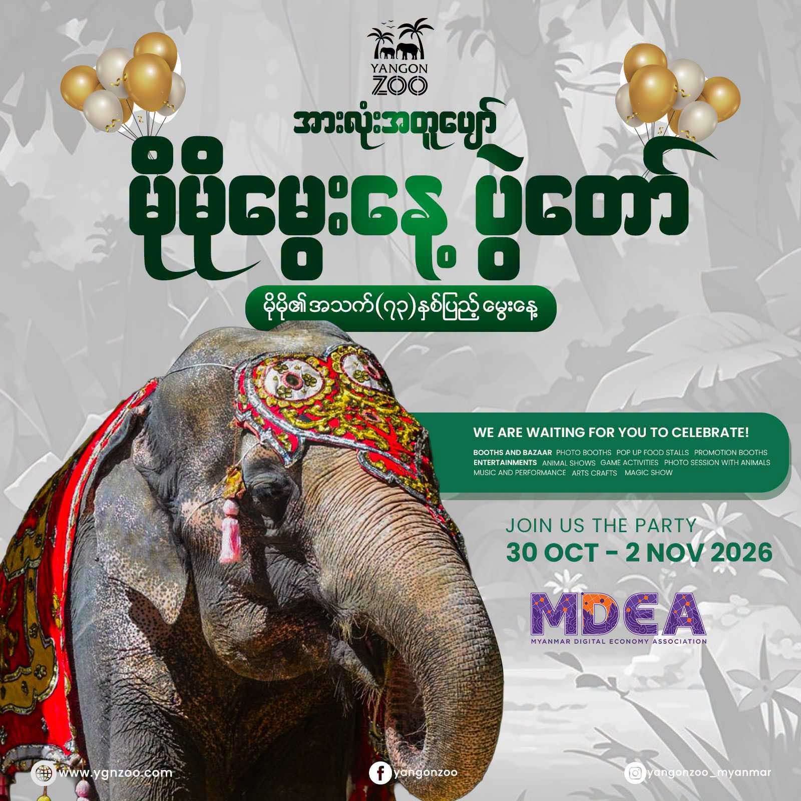 ပြည်သူ့အချစ်တော် ဆင်မကြီး မိုမို၏ ၇၃ နှစ်ပြည့် မွေးနေ့ပွဲ ၄ ရက်ကြာ ကျင်းပမည်