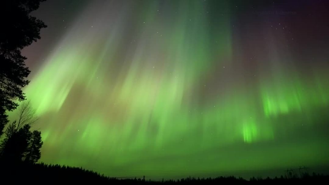 Photo: Reuters