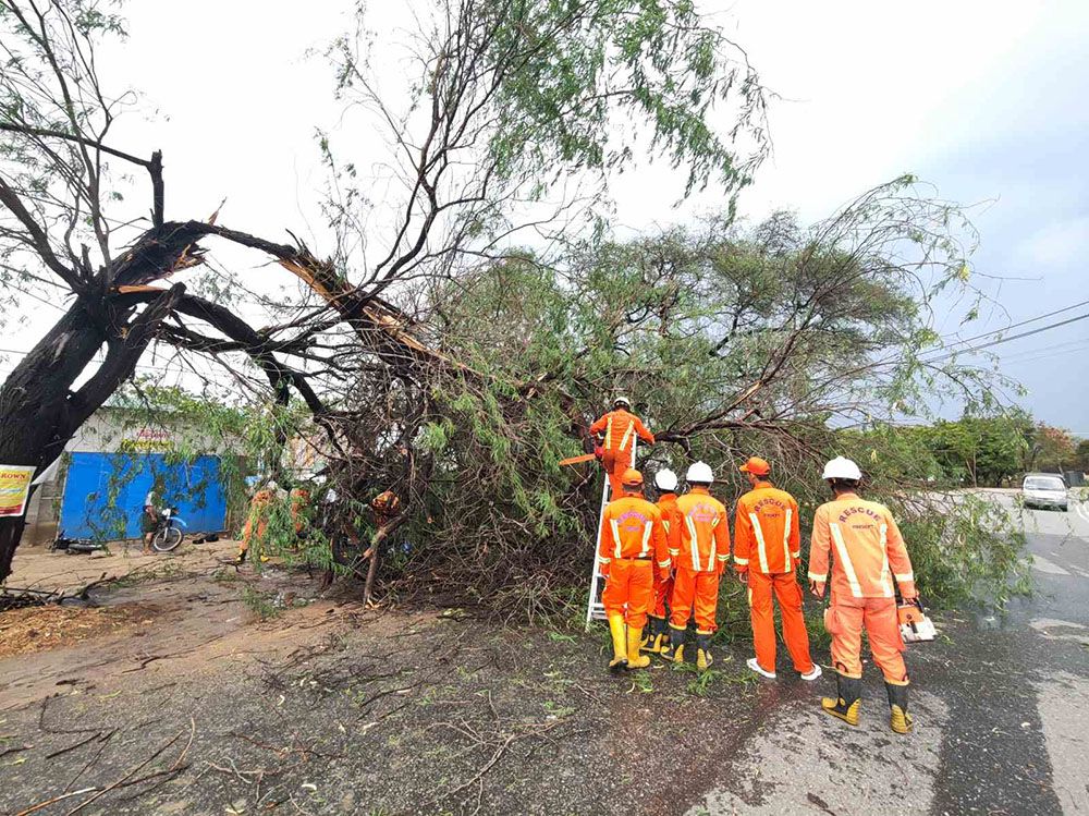 ပျော်ဘွယ်မြို့နယ်၌ ဧပြီ ၂၆ ရက်က မိုးရွာသွန်းပြီးနောက် သစ်ပင်လဲကျနေစဉ်။ (Photo: MSDF)