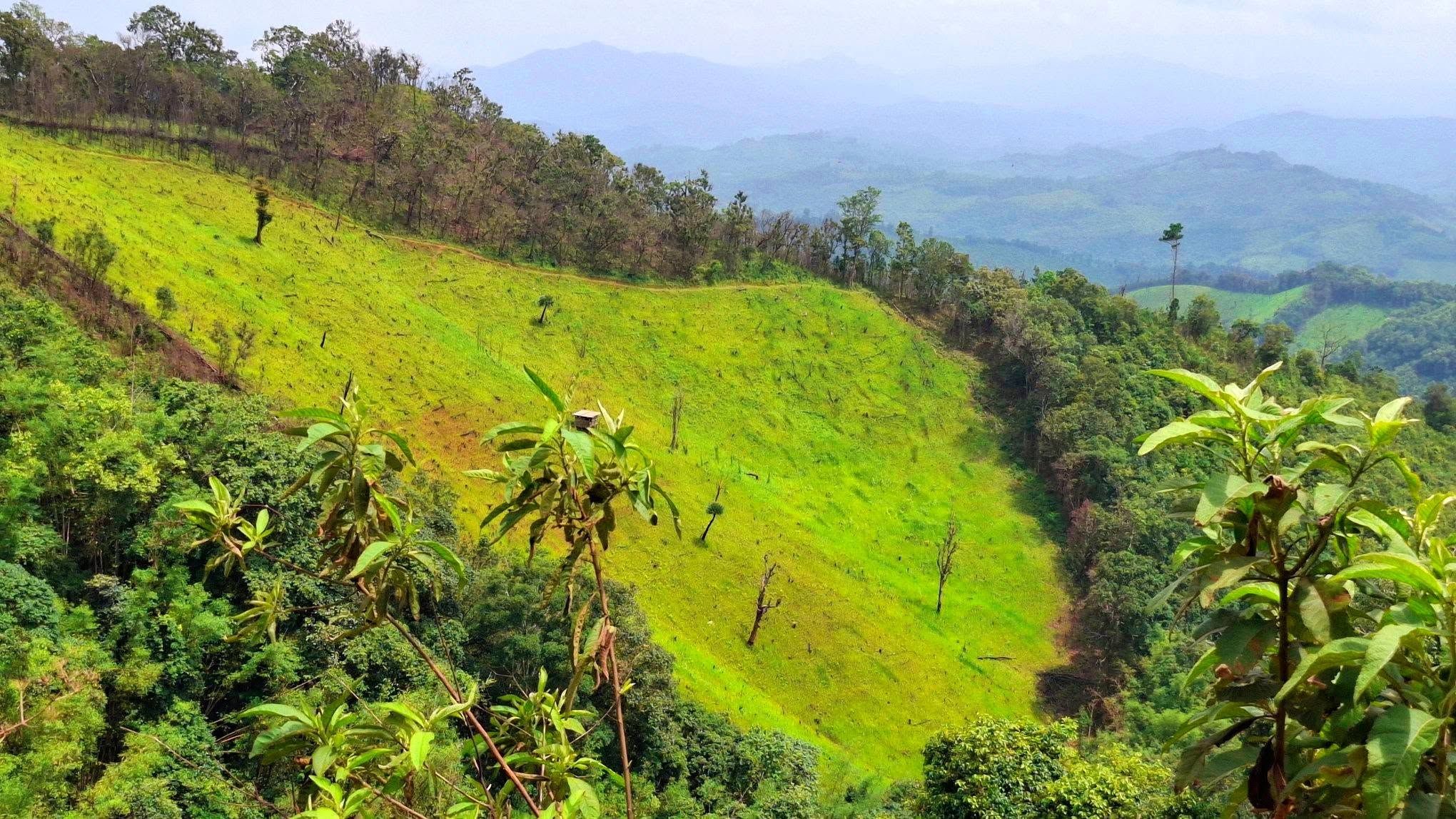 Photo: Salween Peace Park