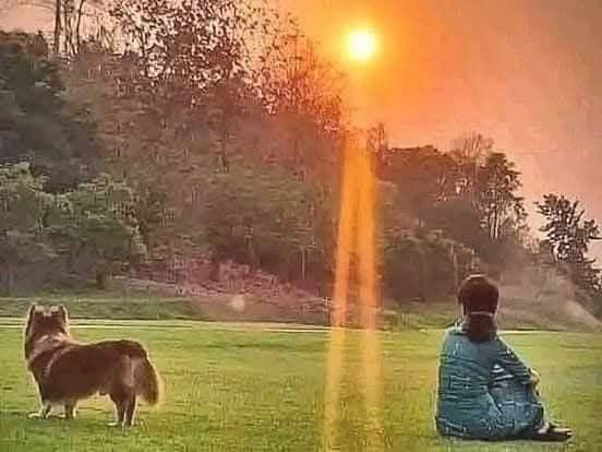 ဒေါ်အောင်ဆန်းစုကြည်၏ အိမ်မွေးခွေးလေး တိုက်ချီတို သေဆုံး
