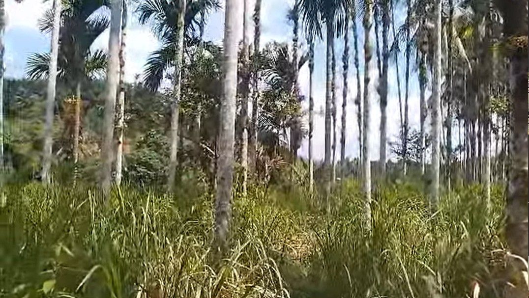 ရမ်းဖိုရွာအနီး စစ်ကောင်စီယာဥ်တန်းကို တော်လှန်ရေးပူးပေါင်းတပ်က ပစ်ခတ်တိုက်ခိုက်။ Photo: ဗိုလ်ခရင်းတပ်ဖွဲ့