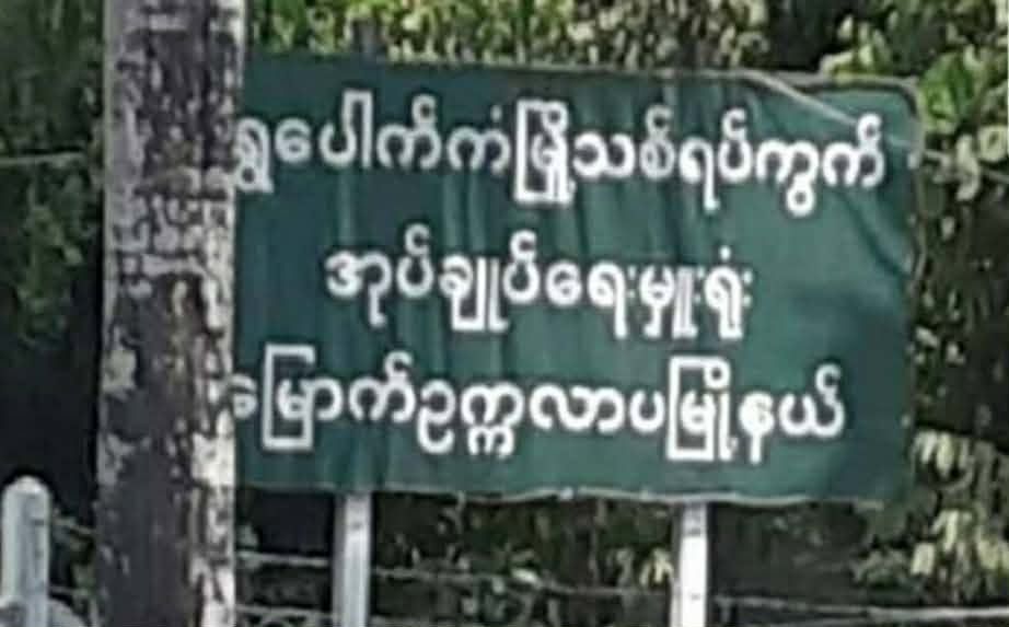 Photo : DVB
