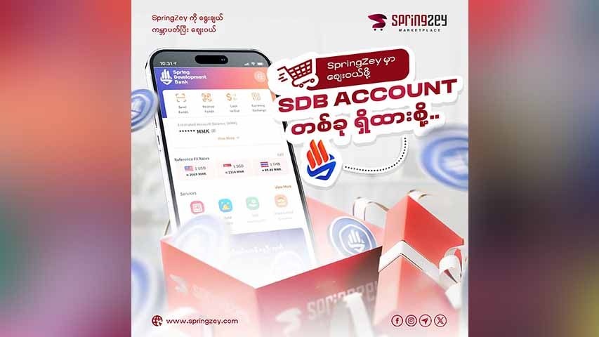 တော်လှန်ထုတ်ကုန်များရောင်းဝယ်မည့်  ‘SpringZey’ အွန်လိုင်းစျေးကွက် မိတ်ဆက်