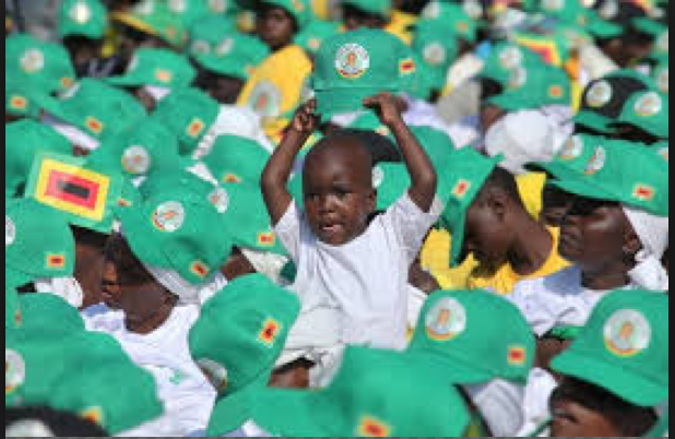 Mugabe Campaign 2